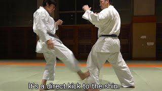 This is Lowkick from Wadoryu Karate [upl. by Cutty840]