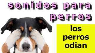 Sonidos Para Perros 🐶 5 Sonidos que los Perros ODIAN 🐶 [upl. by Nylesoj]