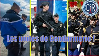 TOUT SAVOIR SUR LA GENDARMERIE [upl. by Acinorev]