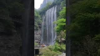 Great grand waterfall Wuhanchina travel waterfall wuhan [upl. by Lleon]