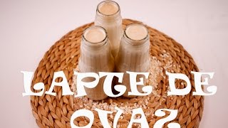 Retete vegane Lapte de ovaz [upl. by Lauretta]