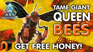 EASY QUEEN BEE TAME amp GET HONEY ARK Survival Ascended [upl. by Einna]