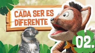 2 Los pingüinos y cómo iniciar una conversación  Chaski el guardaparque [upl. by Minni]