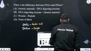 What is the difference between DNAs and DNase [upl. by Natassia]