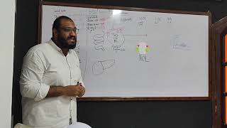 Biochemistry  2nd year  Plasma Lipoprotein metabolism [upl. by Hoxie]