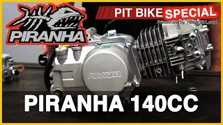 Piranha 140cc Pit Bike Engine  WHS1143  Pit Bike Update SPECIAL [upl. by Obe]