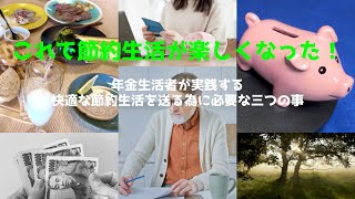 これで節約生活が楽しくなった！／年金生活者が実践する快適な節約生活を送る為に必要な三つの事 [upl. by Suiramad]