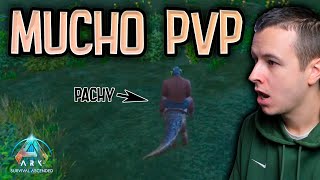 NOS PEGAMOS CON MUCHA GENTE  ARK SURVIVAL ASCENDED SMALL TRIBES OFICIAL  EP 7 [upl. by Schuster199]