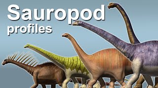 Sauropod profiles [upl. by Cece]