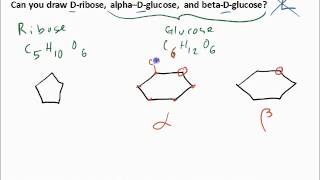 draw ribose and glucose structure [upl. by Ainez]