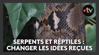 Serpents et reptiles  en finir avec la peur et les idées reçues grâce au zoo dAmnéville [upl. by Ema]