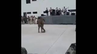 Militares bailando chistosos [upl. by Ahseila817]