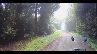 Tweed Range Scenic Drive Murwillumbah to Kyogle On a Honda CB500X [upl. by Nyleahcim]