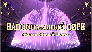 ЦИРК НА ВОДЕ КИЕВ НОВОГОДНЯЯ ПРОГРАММА Капли Живой Воды в КИЕВСКОМ ЦИРКЕ ШОУ на ВОДЕ 20182019 [upl. by Ellebasi213]