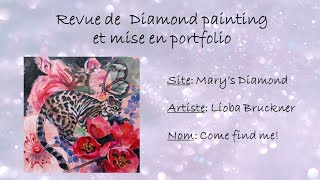 Revue du diamond painting Come find me de Marys Diamonds de Lioba Bruckner et mise en portfolio [upl. by Nirej]