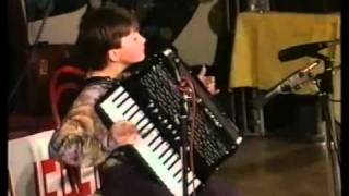 ZLATNA HARMONIKA Borko Radivojević 1995 [upl. by Aicirtap]