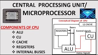 2D Array representation  Row Major amp Column Major order  Data Structures  Lec9  Bhanu Priya [upl. by Mighell891]