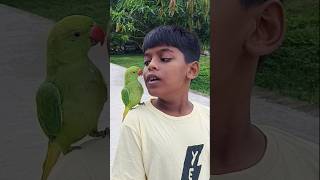 পিকু ও আবিদ parrot talkingparrot funnyanimal bolnewalaparrot parrotspeak ParrotloversMoni [upl. by Dagnah]