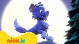 Patrulha Canina  Lobislhotes e Mistérios de Monstros  Nick Jr em Português [upl. by Dahij]