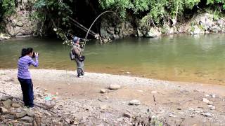 Memancing Ikan Kelah Di Sungai ApinApin [upl. by Liban]