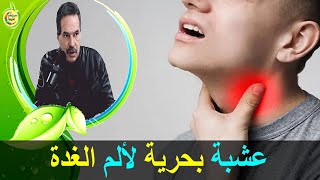 عشبة بحرية معجزة تعالج آلام الغدة الدرقية  الدكتور جمال الصقلي [upl. by Annahsal]