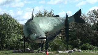 MASSIVE World Record Size Hammerhead Shark Caught Fishing with Greg Norman [upl. by Liahkim492]