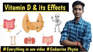 Vitamin D and Its Effects Parathyroid Gland PhysiologyEndocrine Physiology  Ashish Agrawal [upl. by Anauqal687]