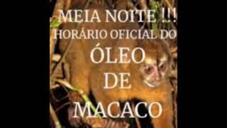 Meia Noite Horario Oficial do Oleo de Macaco [upl. by Essinger]