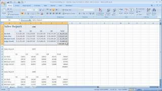 Excel Formatting 12  Quickly Copy Formats to Other Cells in Excel [upl. by Halihs]