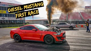 First Big Race with The Cummins Mustang [upl. by Ravaj]