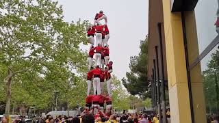 Castellers de Barcelona 4 de 8  Diada del Local de Castelldefels 2024 [upl. by Nageem661]