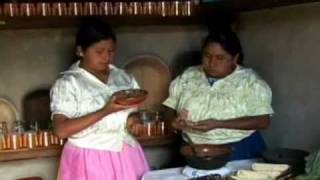 Traditional Mexican cuisine  ancestral ongoing community culture the Michoacán paradigm [upl. by Torto]