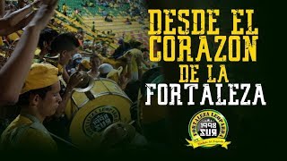 La fiesta desde el corazon de la Fortaleza  Bmanga vs Santa fe  23Sep  Fortaleza Leoparda 2017 [upl. by Eldnek811]