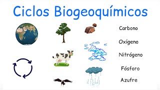 ♻️ Ciclos Biogeoquímicos  BiologíayEcología [upl. by Anahsak]