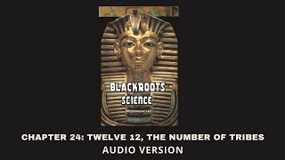 Chapter 24 Twelve 12 The Number Of Tribes  Blackroots Science Vol 1 [upl. by Marola770]