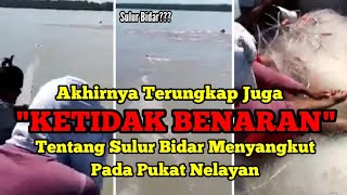 Sulur Bidar Yang Tersangkut Pukat Nelayan TIDAK BENAR Tonton Sampai Habis [upl. by Yarak]