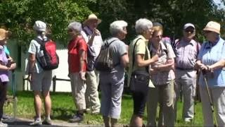 Wanderung 7 Juli 2016 Müswangen  Horben  HämikonBerg [upl. by Ciapas]