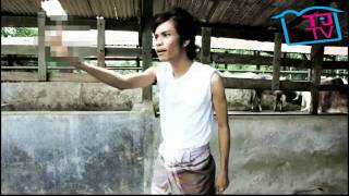 Lembu Nak Jaga aka Moves Like Jagger [upl. by Euqinemod]