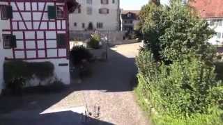 1ATV  Gemeinde Greifensee Video [upl. by Jinny]