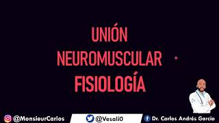 Fisiología  Union Neuromuscular Liberación y Secuestro de Acetilcolina [upl. by Lamberto]