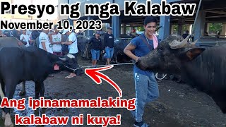 UPDATED  Presyo ng Kalabaw sa Padre Garcia Batangas The Cattle Trading Capital of the Philippines [upl. by Lalad]