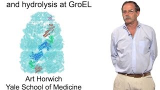 Arthur Horwich YaleHHMI Part 2 The role of ATP binding and hydrolysis at GroEL [upl. by Branen]