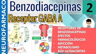 MECANISMO DE ACCIÓN RECEPTORES GABA BENZODIACEPINAS Efectos Farmacológicos Reacciones Adversas2 [upl. by Kendra73]