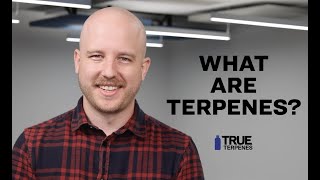 What are terpenes [upl. by Attenreb]