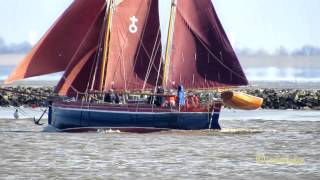 Emden  Segeln am Geisedamm zwischen Emsfahrwasser und Dollart  Ditzum am Horizont [upl. by Dnalevelc]