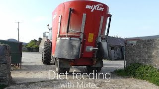 Diet Feeding with Mixtec 12 Tub [upl. by Gnoz]