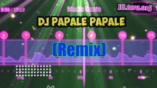 Dj Papale PapaleRemixSpeed Audio EditTikTok [upl. by Magavern]