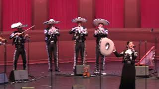 4K Video  111718 Mariachi Grulla de Plata  2018 Mariachi Vargas Extravaganza [upl. by Terri]