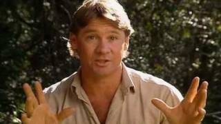 The Crocodile HunterSteves Greatest Crocodile Captures 48 [upl. by Allbee499]