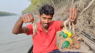 এত বড় চিংড়ি দিয়ে বরশি চার করলামnaturalsundarban [upl. by Richelle]